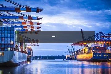 中国—东盟跨境公路班车物流联盟成立